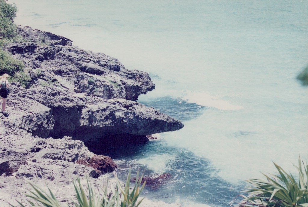 FastFoto_0007_a.jpg