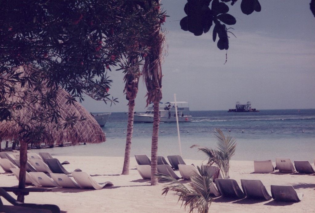 FastFoto_0037_a.jpg