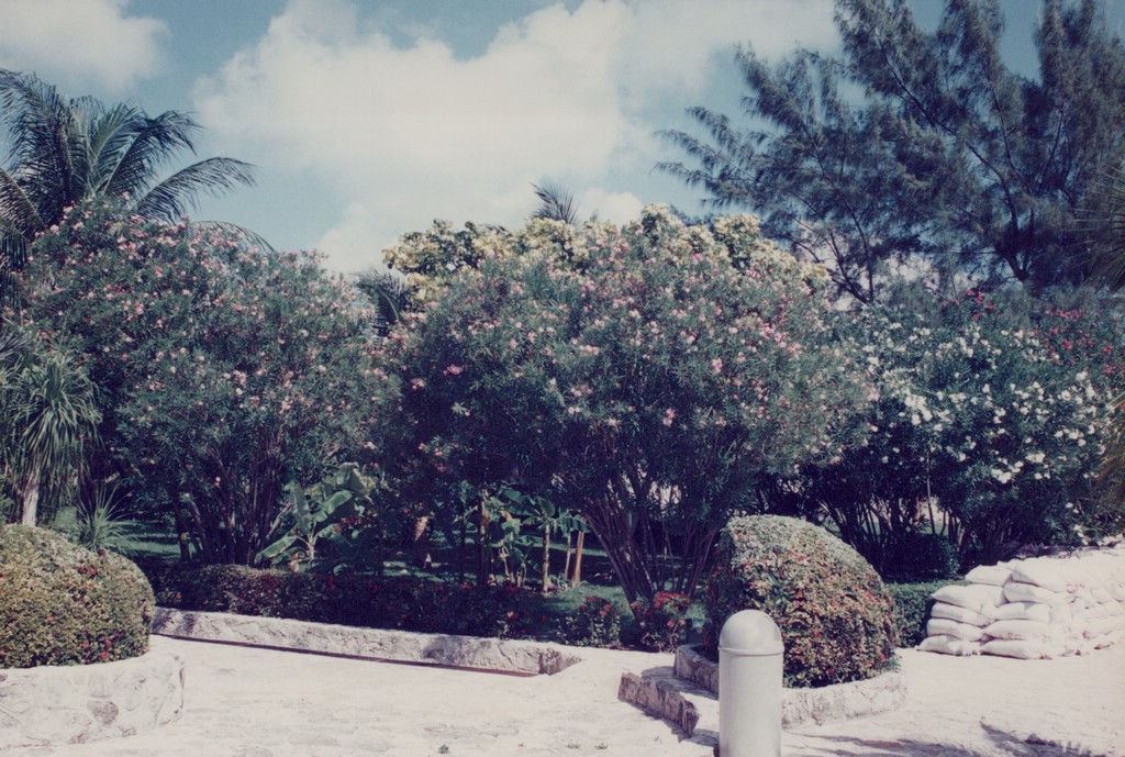 FastFoto_0052_a.jpg
