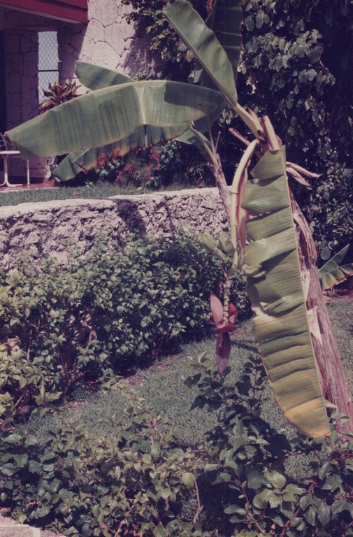 FastFoto_0092_a.jpg