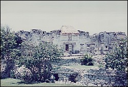 FastFoto_0003_a.jpg