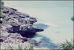 FastFoto_0007_a.jpg