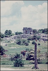FastFoto_0016_a.jpg