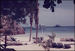 FastFoto_0037_a.jpg