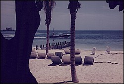 FastFoto_0039_a.jpg