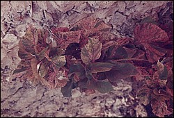 FastFoto_0043_a.jpg