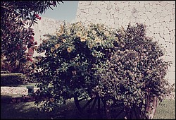 FastFoto_0050_a.jpg