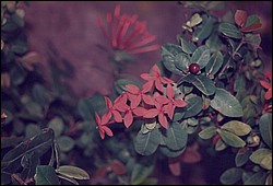 FastFoto_0051_a.jpg