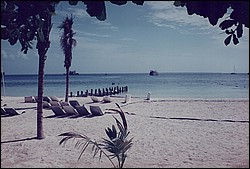 FastFoto_0054_a.jpg