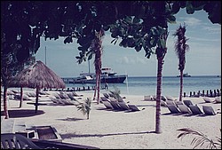 FastFoto_0057_a.jpg