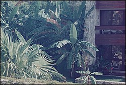 FastFoto_0061_a.jpg