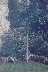 FastFoto_0085_a.jpg