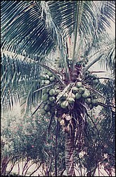 FastFoto_0086_a.jpg