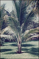 FastFoto_0088_a.jpg