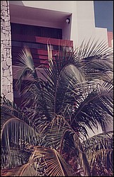 FastFoto_0090_a.jpg