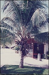 FastFoto_0091_a.jpg