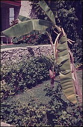 FastFoto_0092_a.jpg