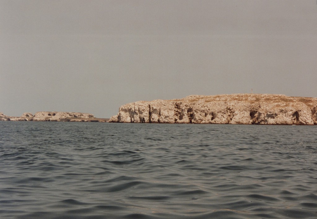 FastFoto_0095_a.jpg