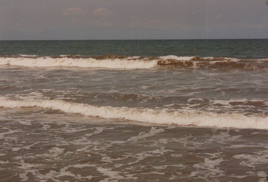 FastFoto_0096_a.jpg