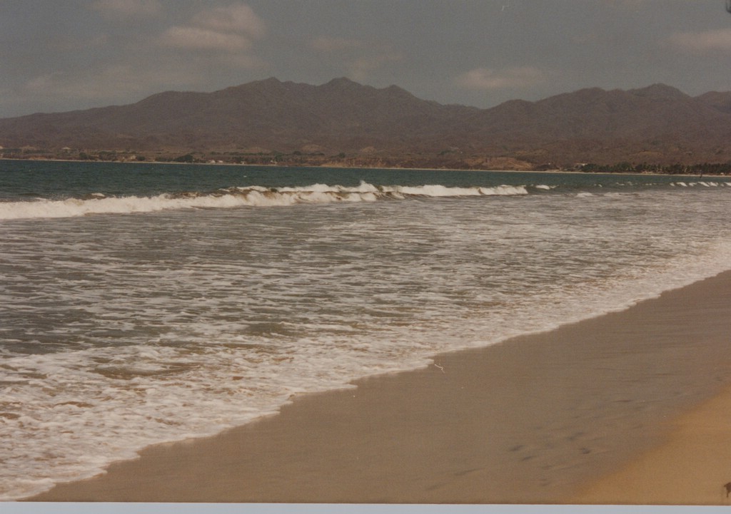 FastFoto_0100_a.jpg