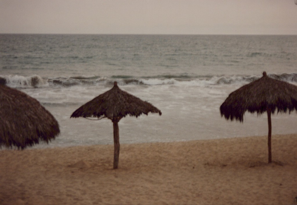 FastFoto_0106_a.jpg