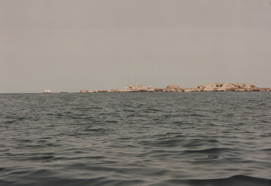 FastFoto_0116_a.jpg