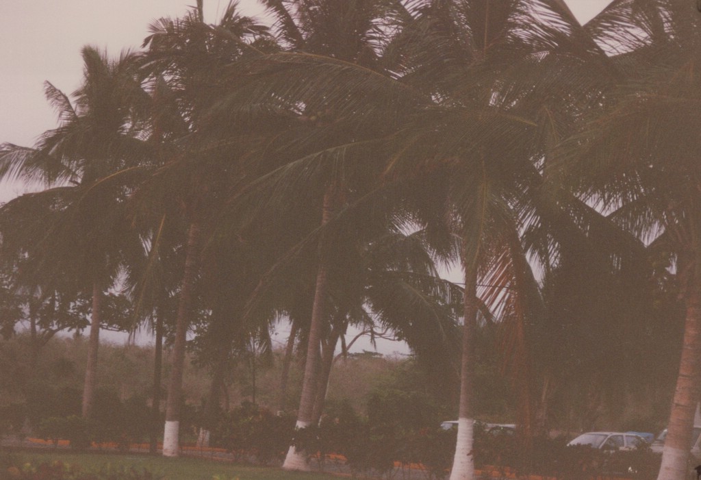 FastFoto_0119_a.jpg