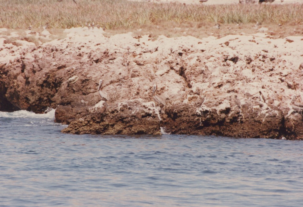 FastFoto_0122_a.jpg
