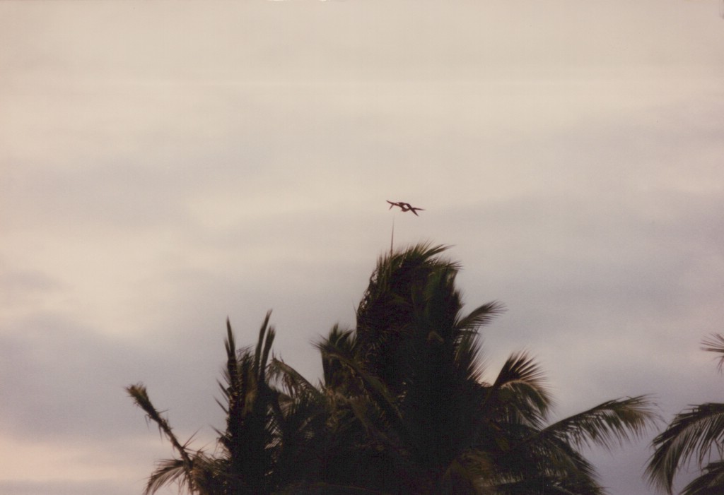 FastFoto_0141_a.jpg