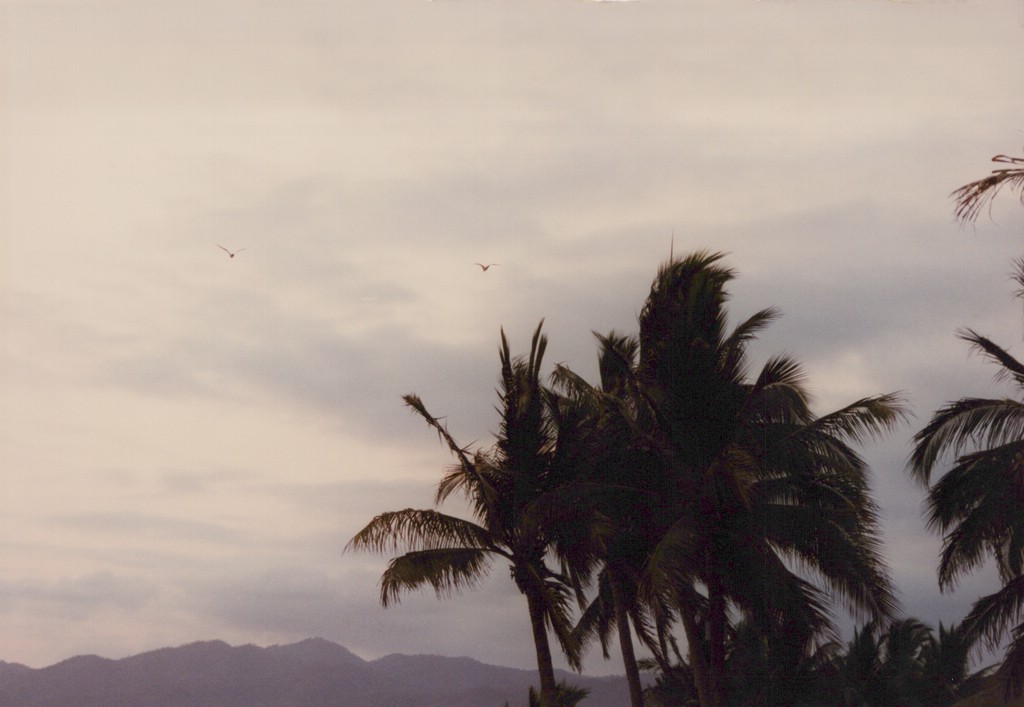 FastFoto_0143_a.jpg