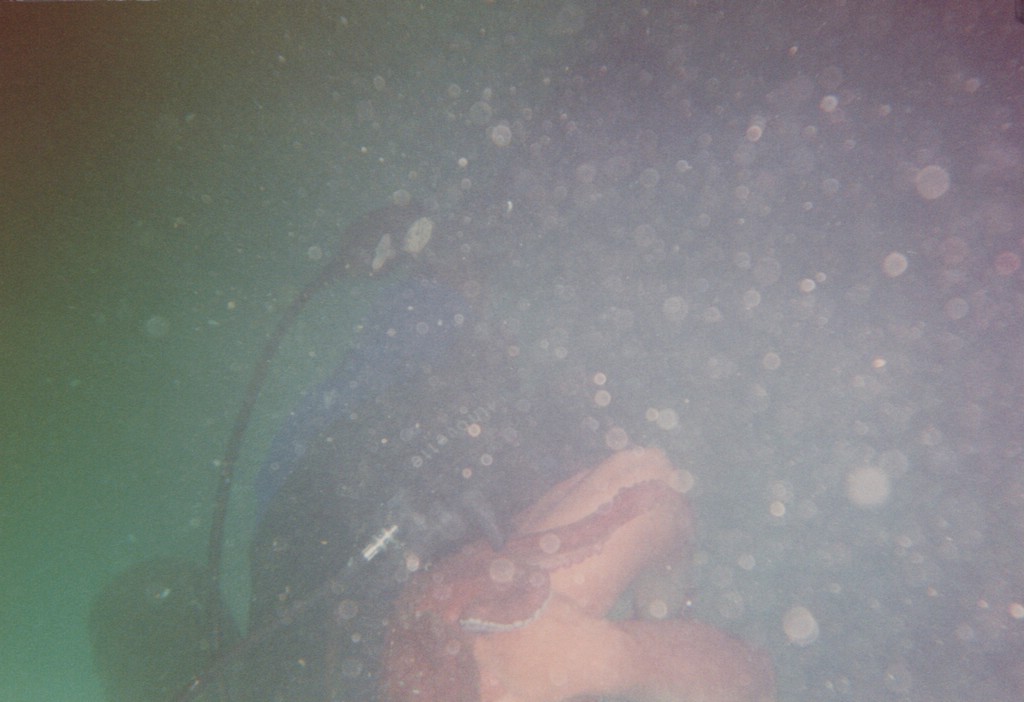 FastFoto_0205_a.jpg