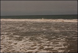 FastFoto_0097_a.jpg