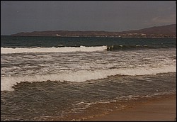 FastFoto_0101_a.jpg