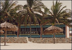 FastFoto_0102_a.jpg