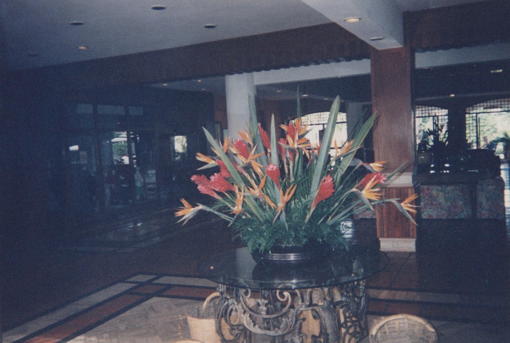 FastFoto_0217_a.jpg