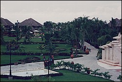1FastFoto_0316_a.jpg