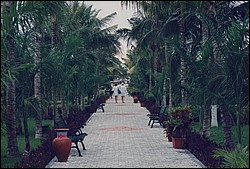 1FastFoto_0320_a.jpg