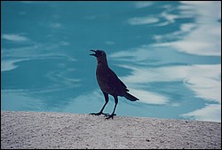 1FastFoto_0325_a.jpg