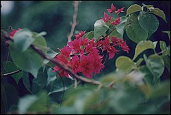 1FastFoto_0326_a.jpg