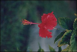 1FastFoto_0329_a.jpg