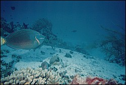 FastFoto_0263_a.jpg