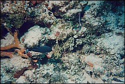FastFoto_0277_a.jpg