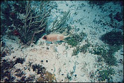 FastFoto_0306_a.jpg