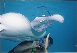 5Doug Grand Cayman1.jpg