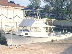 cayman00.jpg