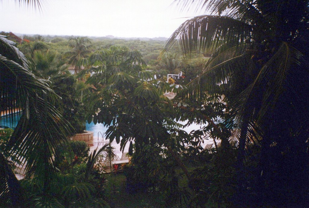 FastFoto_0051_a.jpg