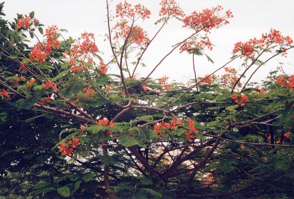 FastFoto_0062_a.jpg