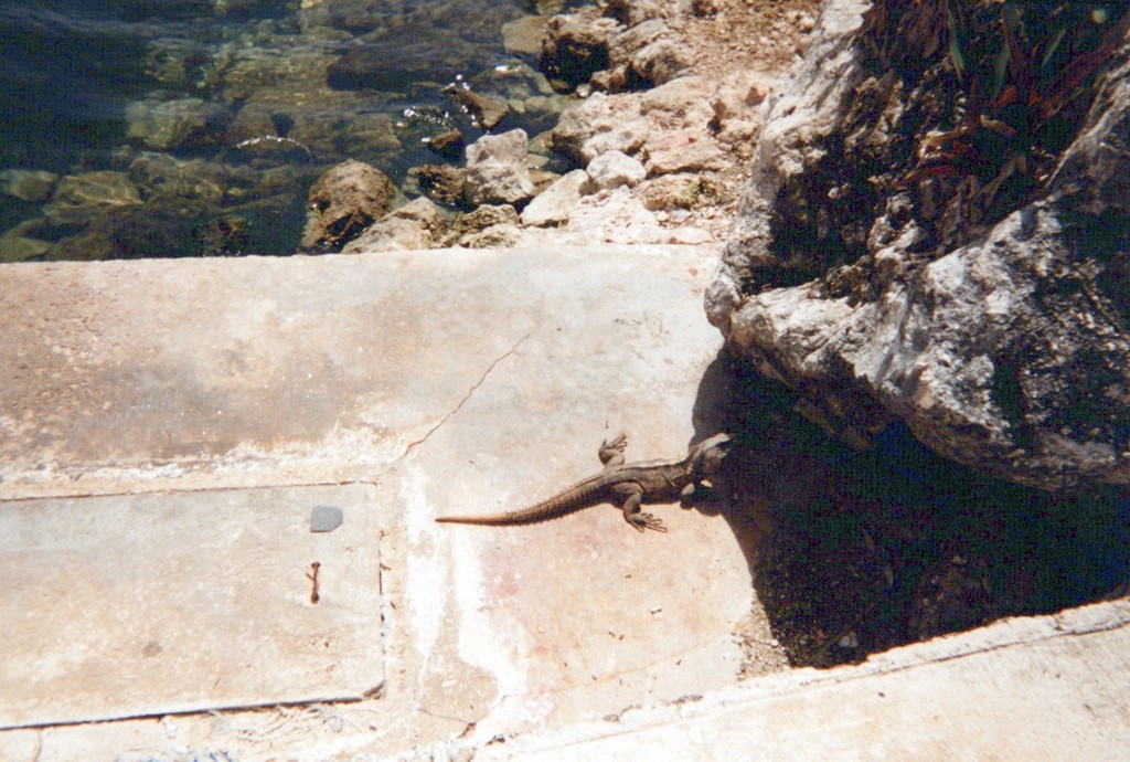 FastFoto_0066_a.jpg