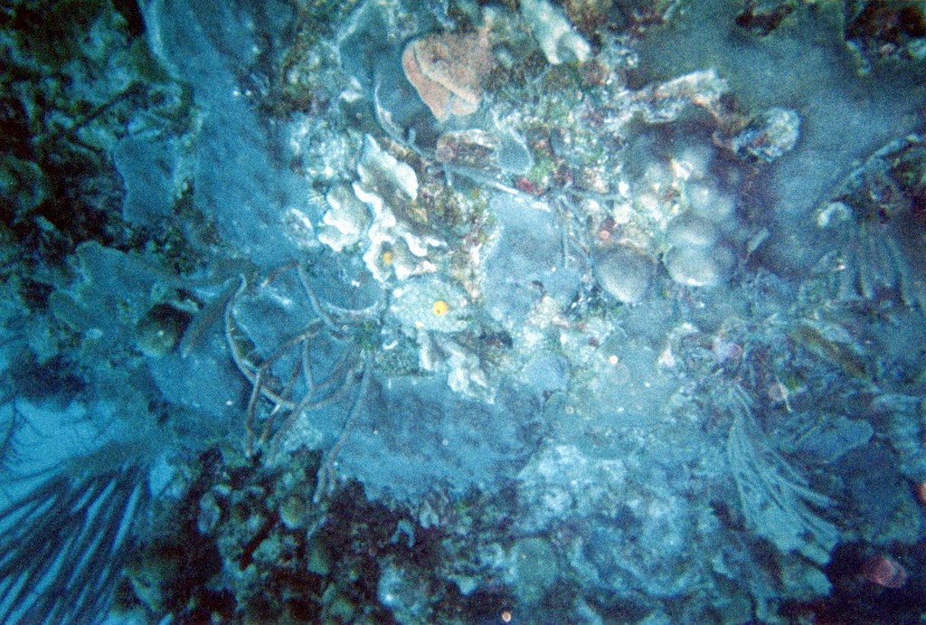 FastFoto_0068_a.jpg