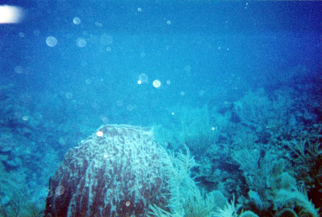 FastFoto_0075_a.jpg